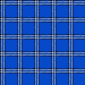 worn checked plaid royal