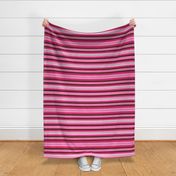 Pink Mexican Serape Blanket Stripes