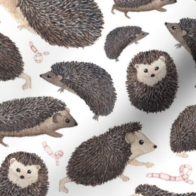 hedgehogs