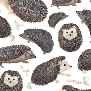 hedgehogs