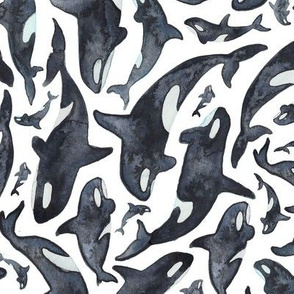 orca pattern larger