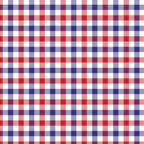 Red White and Blue Gingham Checks