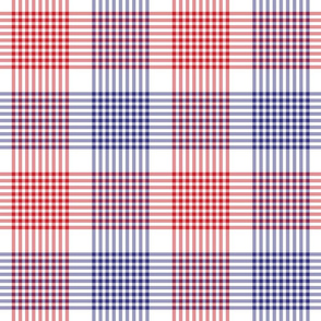 Large Red White and Blue Plaid