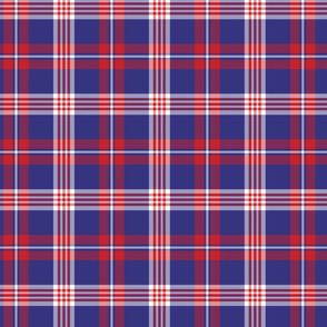Blue and Red Plaid