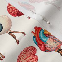 Brain Heart Eyeball Pin-Ups