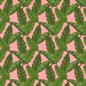 Banana Leaves on Pink