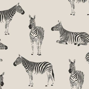 Zebras / Magic Jungle