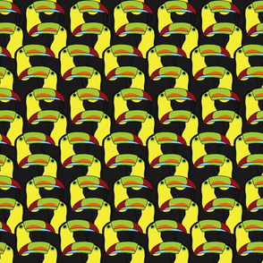 Toucans in Black and Yellow - Large