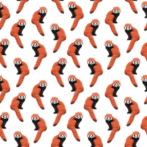 Red pandas pattern 