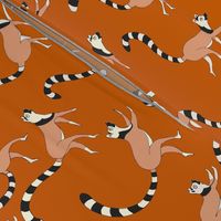 Ring Tailed Lemurs Pumpkin Spice