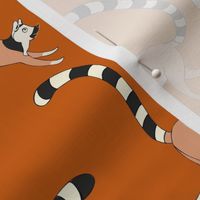 Ring Tailed Lemurs Pumpkin Spice