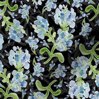 Watercolor Plumbago Flowers on Black