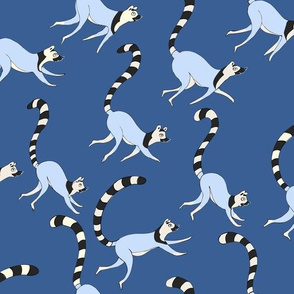 Ring Tailed Lemurs Blue