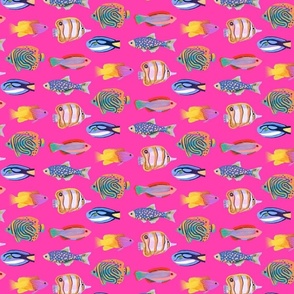 Pink Tropical Fish 