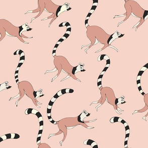 Ring Tailed Lemurs Pink