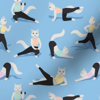 Fitness Cats colorful on light blue