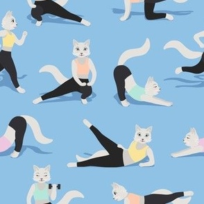 Fitness Cats colorful on light blue