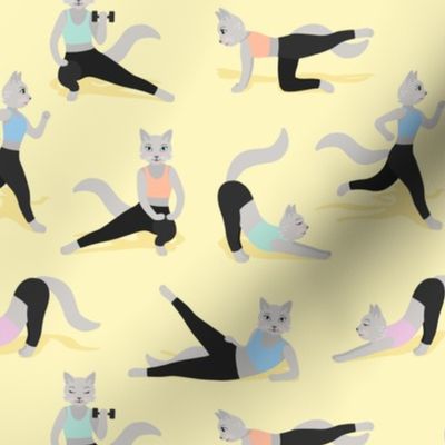 Fitness Cats colorful on yellow