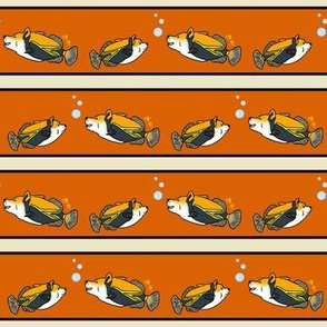 Blofish and Breefish (orange)