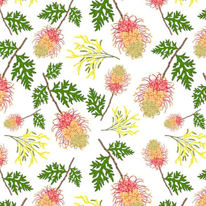 Australian Splendour (Grevillea & Wattle) - white, large 