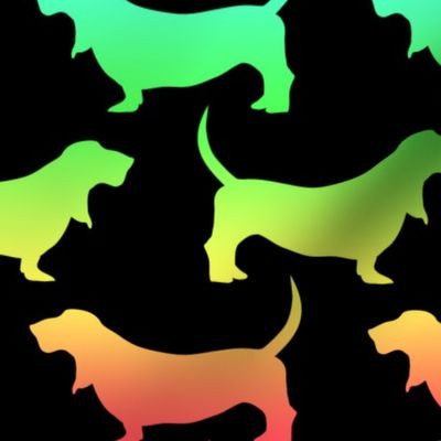 Rainbow Bassets (Dark Large)