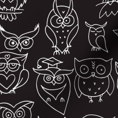 Funny Owls. Colorful Pattern