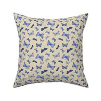 blue butterflies on the wing, small, on tan