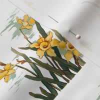 Vintage daffodil posy (medium)