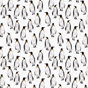 Marching penguins