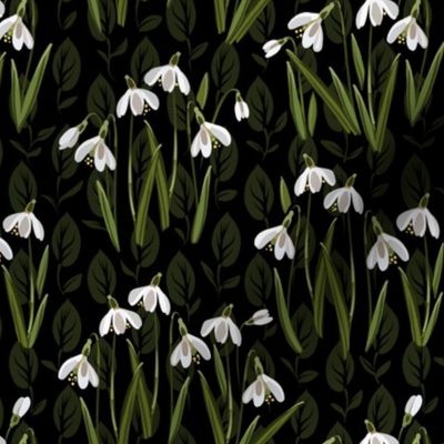 Snowdrop Flowers | Small | on Black
