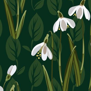Snowdrop Flowers | Deep Cool Green