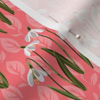 Snowdrop Flowers Coral Pink FF757B