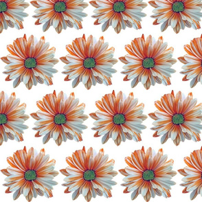 Daisy Orange White small