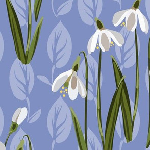 Snowdrop Flowers  |  Soft Warm Country Blue