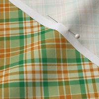 Boxed In Double Cross Road Plaid in Pine Green and Rust 45 Degree Angle