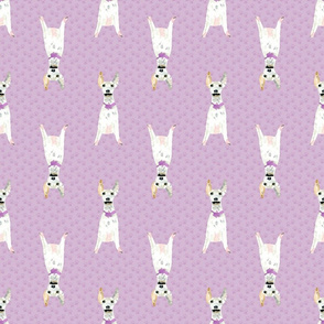 Greyhound Dog Pattern with Paw Prints Mauve