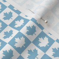 maple leafs toronto hockey sm light blue