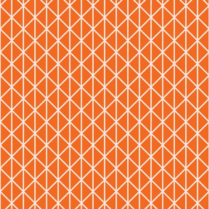 Geometric lines on orange