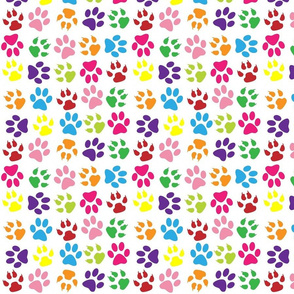 Colorful Paw Print