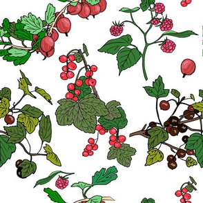 wild berries pattern
