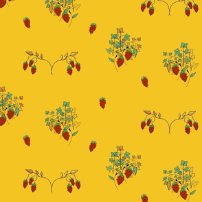 berries on yellow