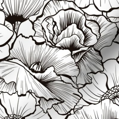 Black and White Wildflowers