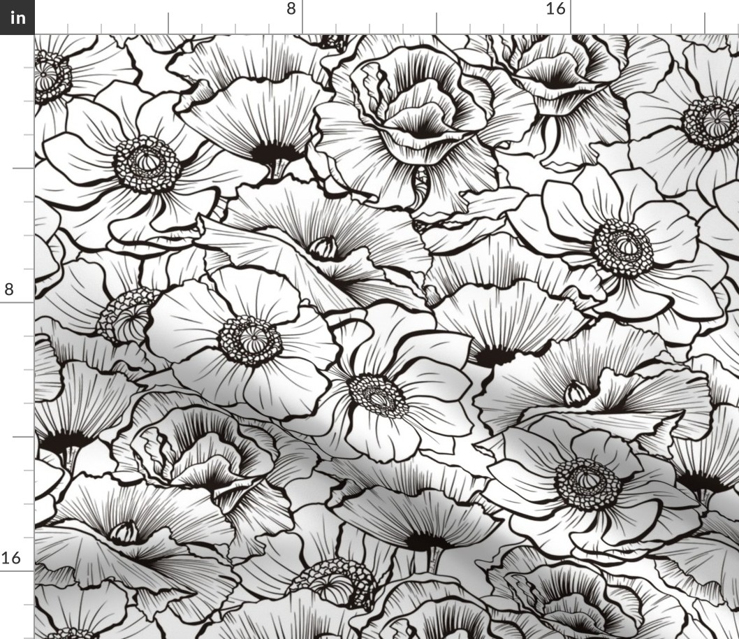 Black and White Wildflowers