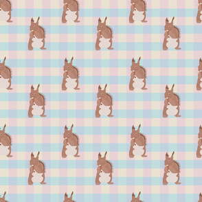 squirrel gingham boy girl