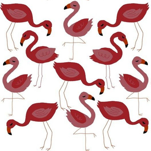 Flamingo Flock