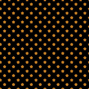 Orange flowers on black