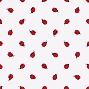 Ladybirds, ladybirds, ladybirds