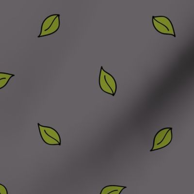 Single leaves on dark grey