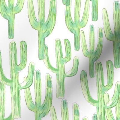 Packed Saguaros White