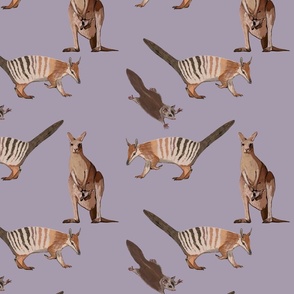 Numbats on lilac